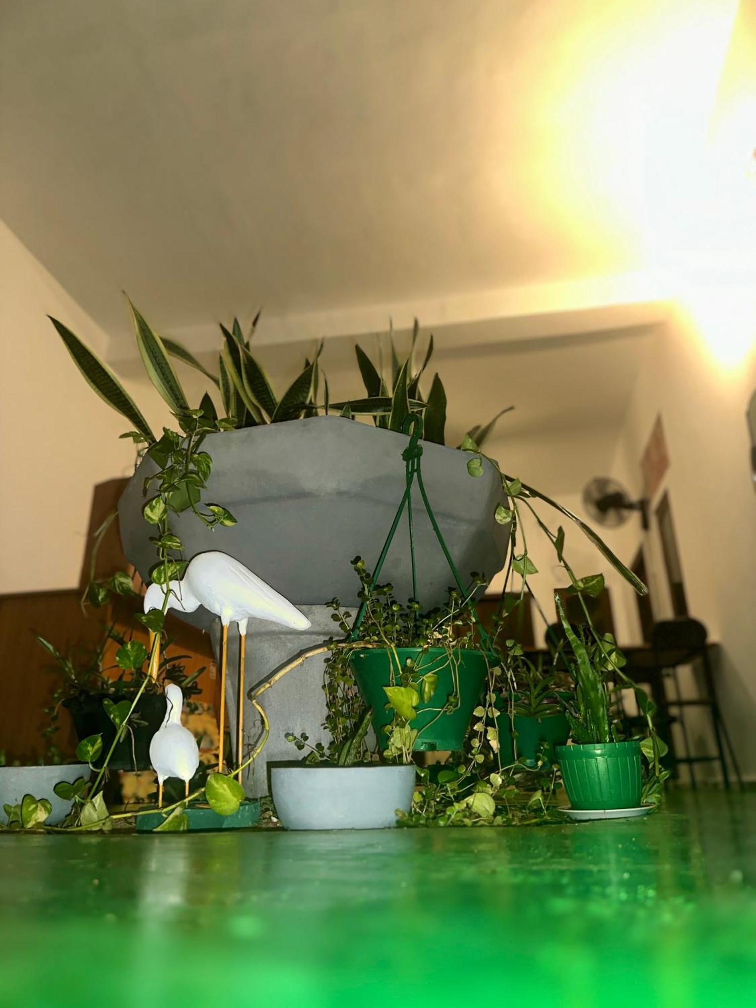 Jaya Villa - Near Airport Negombo Zewnętrze zdjęcie